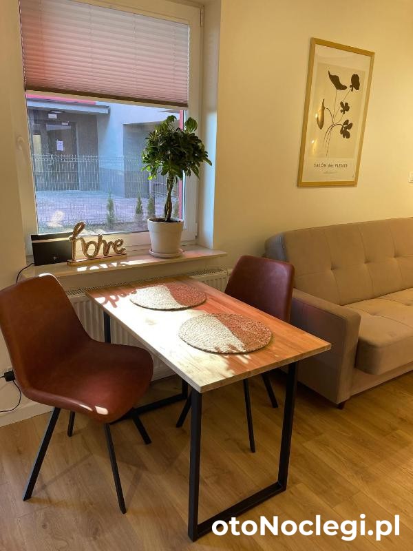 Wooden Dream with Terrace Siedlce (1)