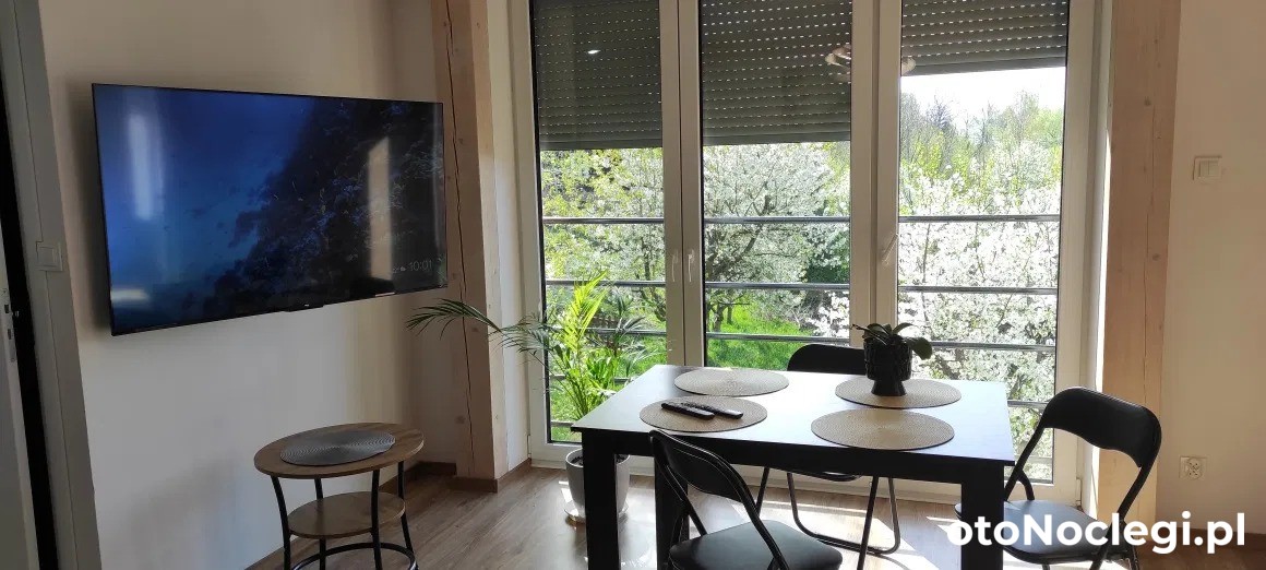 Wynajem krótkoterminowy Bielsko-Biała (8)
