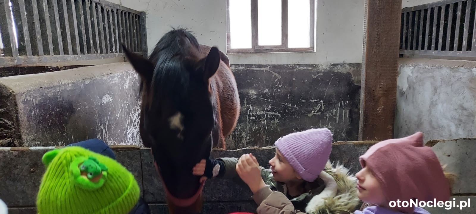 DWÓR Warblewo Warblewo (15)