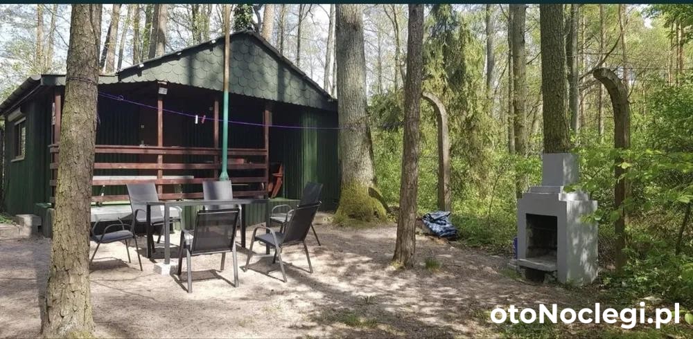 Nocleg Antonin, Antonin (1)