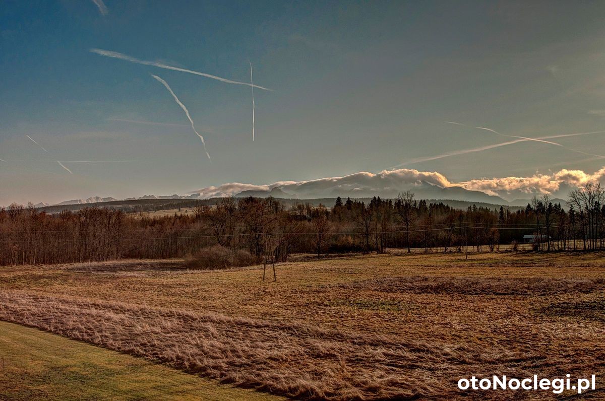 Willa Topór Witów (61)