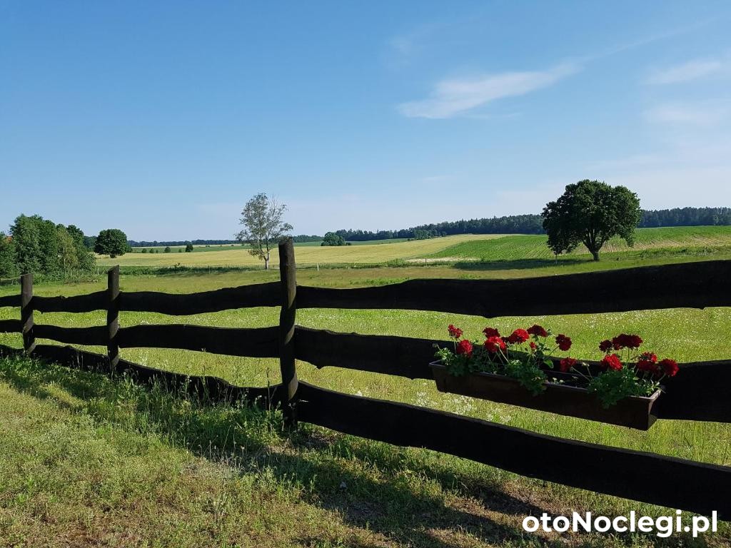 Gościniec Tymawa Tymawa (16)