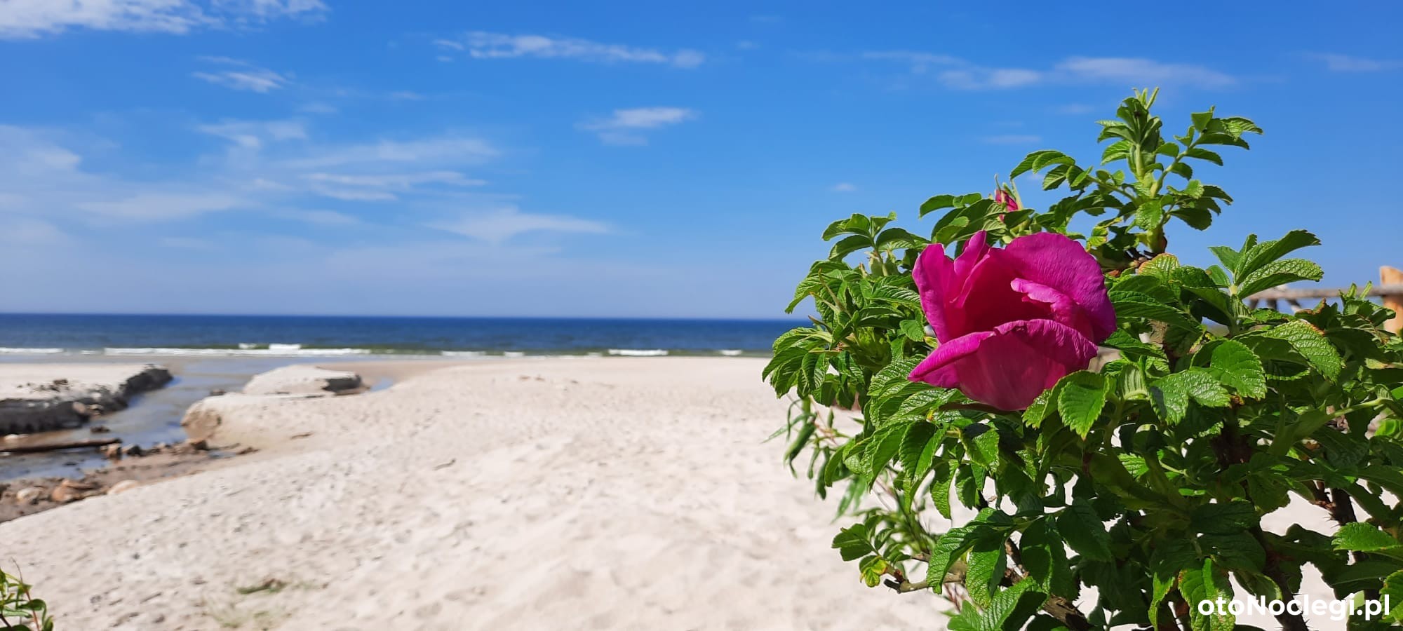 Pokoje Gościnne Przy Lesie Białogóra (20) Pokoje Gościnne Przy Lesie Białogóra (20)