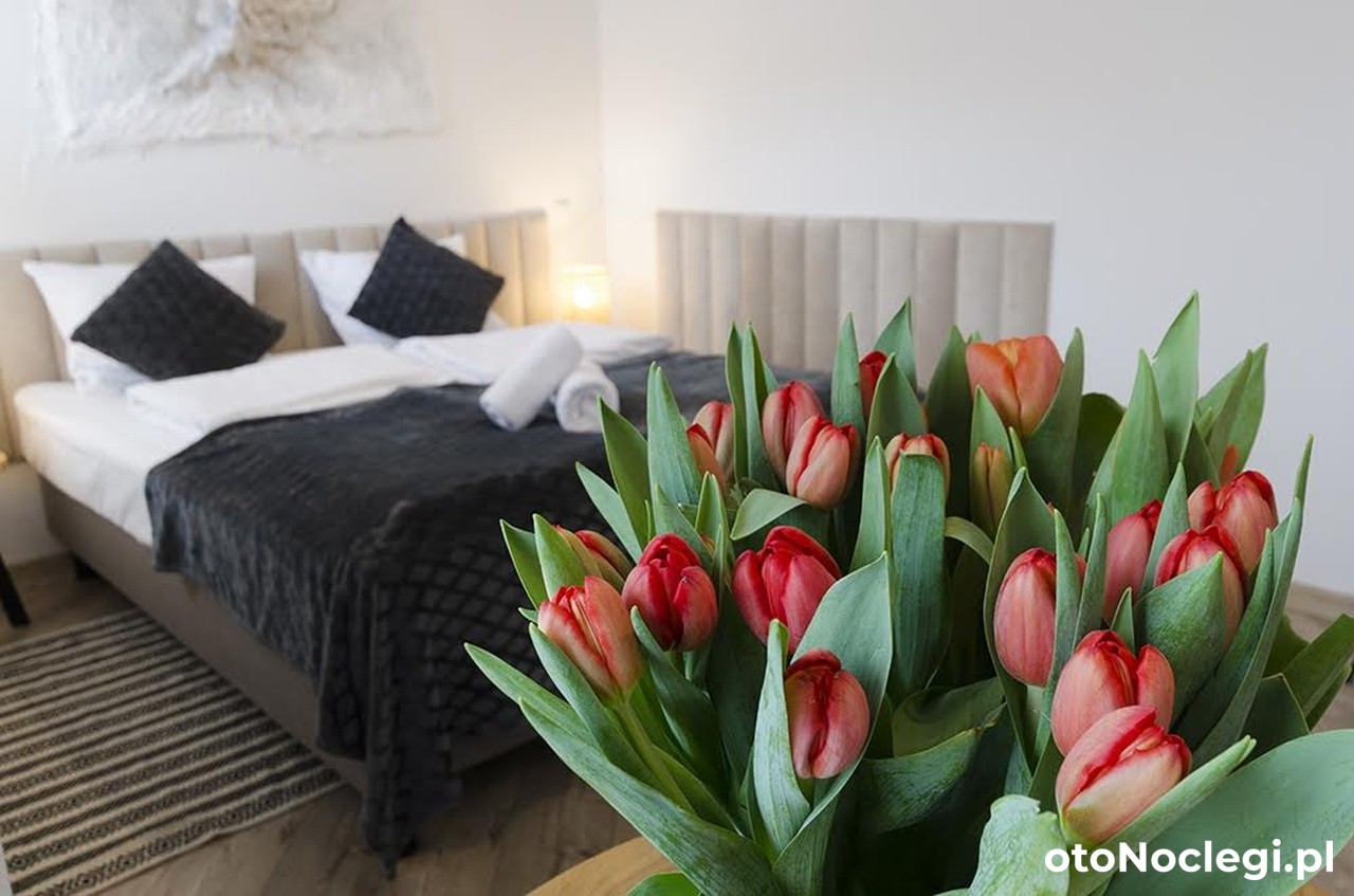 Karkonoskie Widoki Karpacz (17)