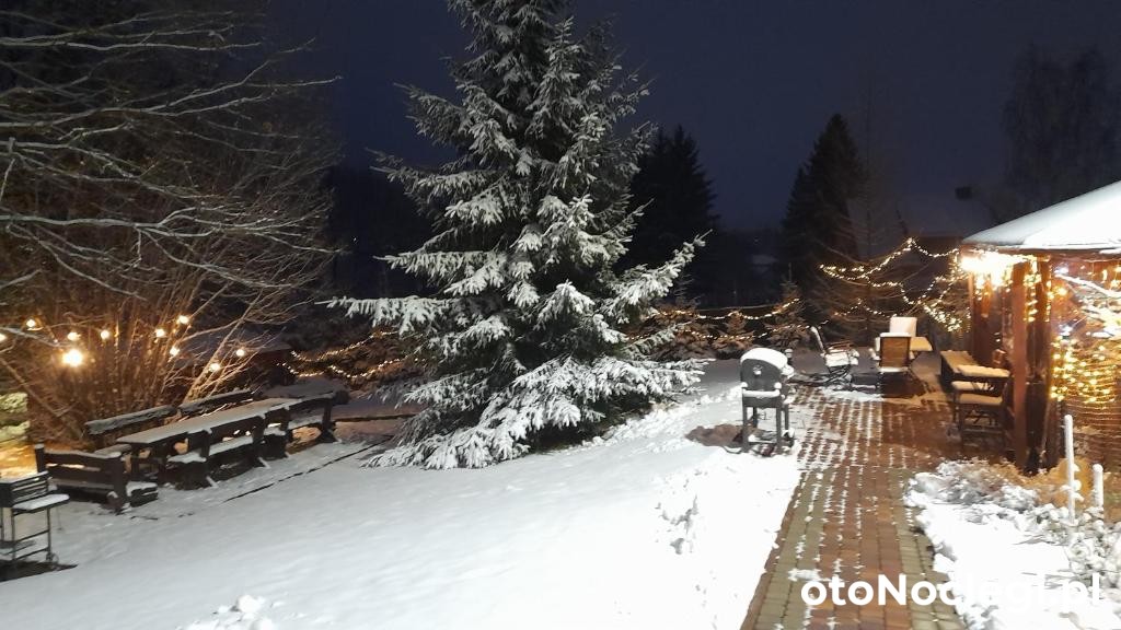 Dom Orzechówka Lądek-Zdrój (15)