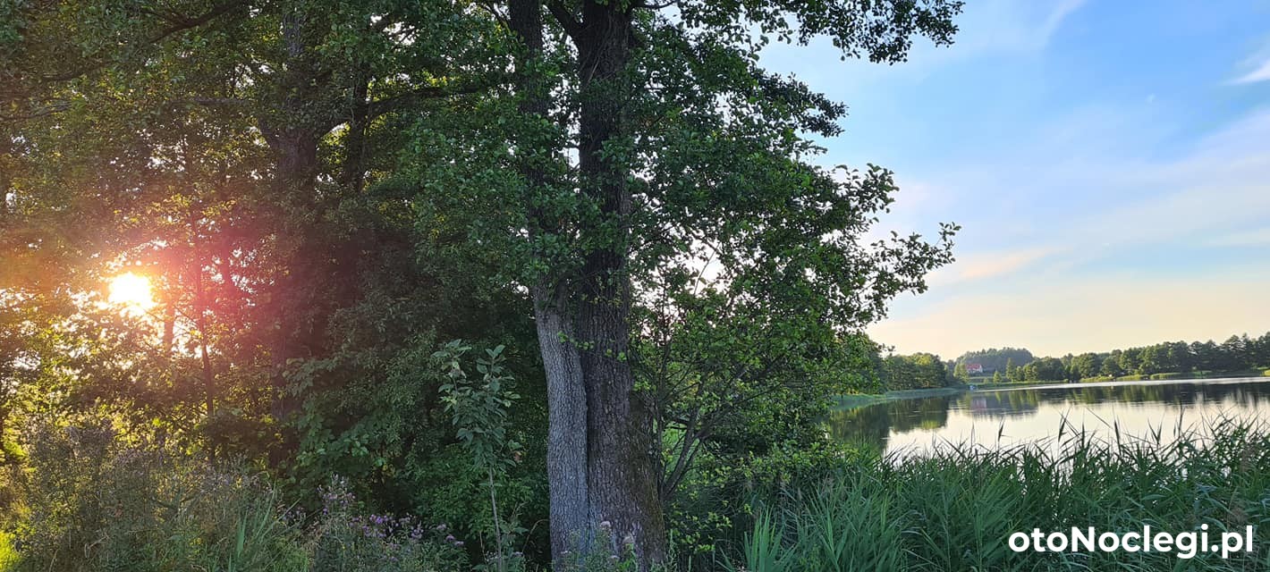 WigSun Domek nad Jeziorem Wigry Suwałki (9)