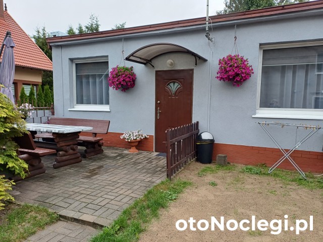 Pod Wiśnią - Krynica Morska (1)