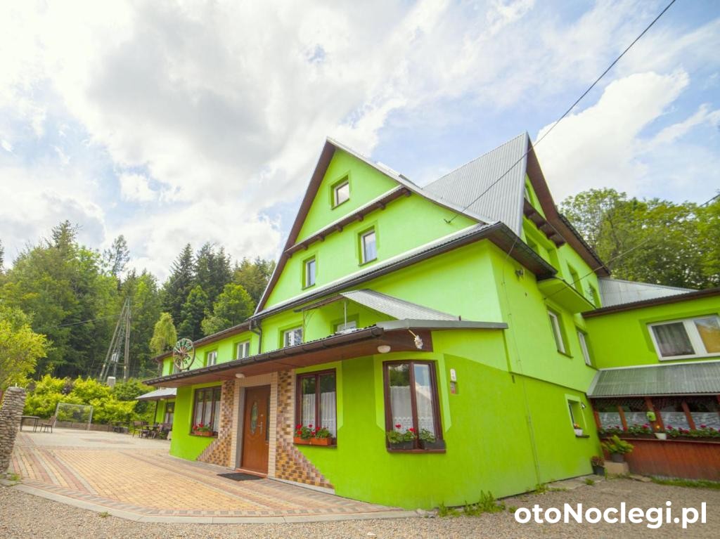 Jodła — Zawoja (1)