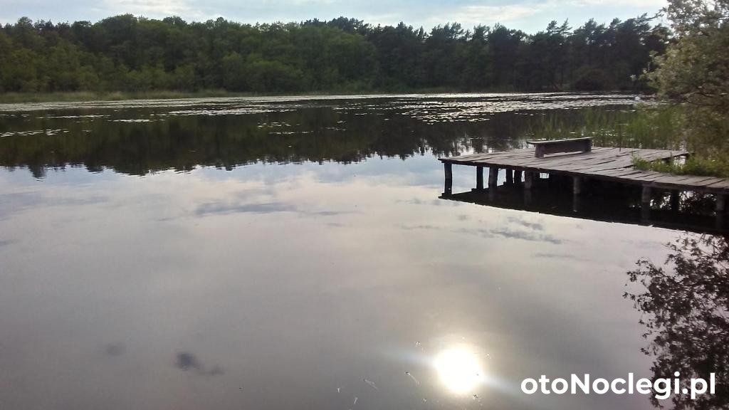 Domki Letniskowe Zygmunt Kopalino (28) Domki Letniskowe Zygmunt Kopalino (28)
