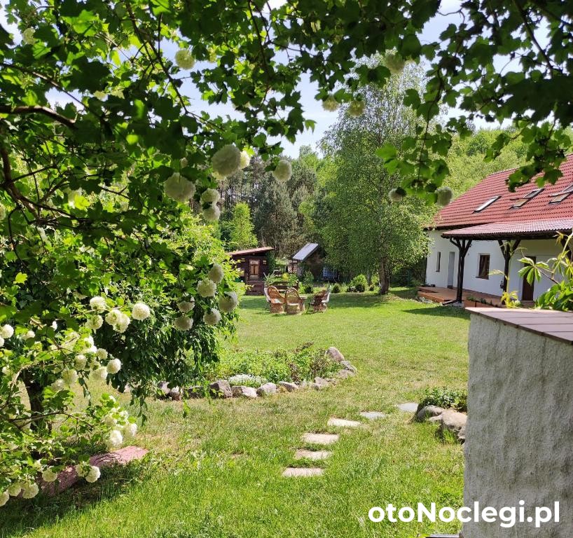 Ostoja Leśna Cisza – Kaborno (1)