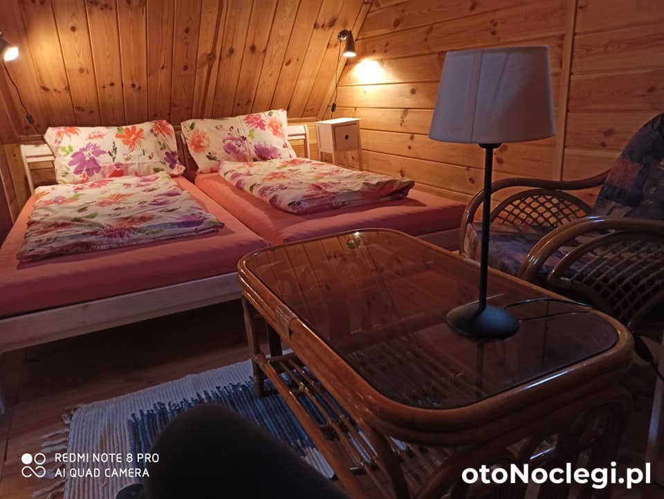 Domki przy rzece San Lesko (9)