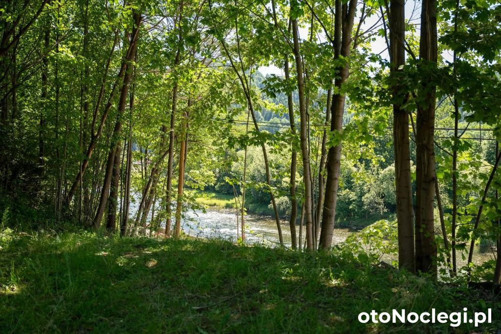 Pienińska Róża Szczawnica (39)