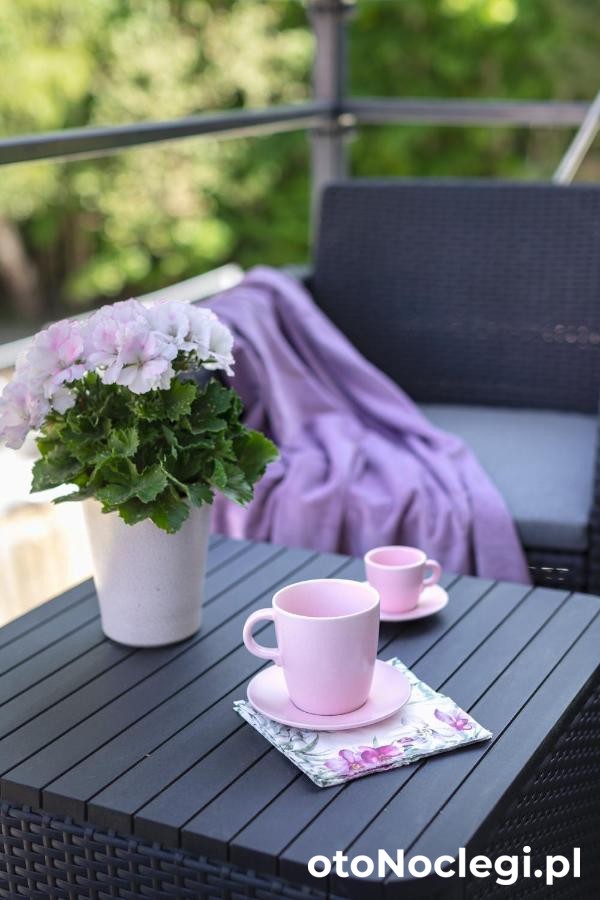 Apartamenty Wczasowa Kudowa-Zdrój (24)