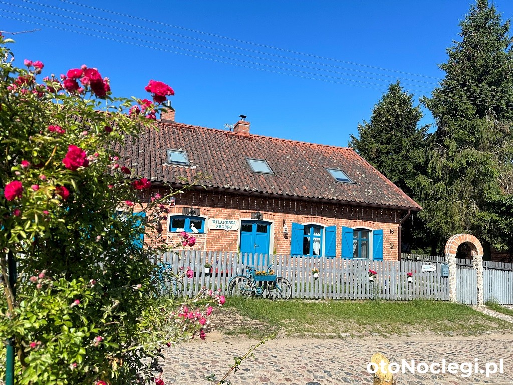 Wilaneska Prośno Morąg (1)