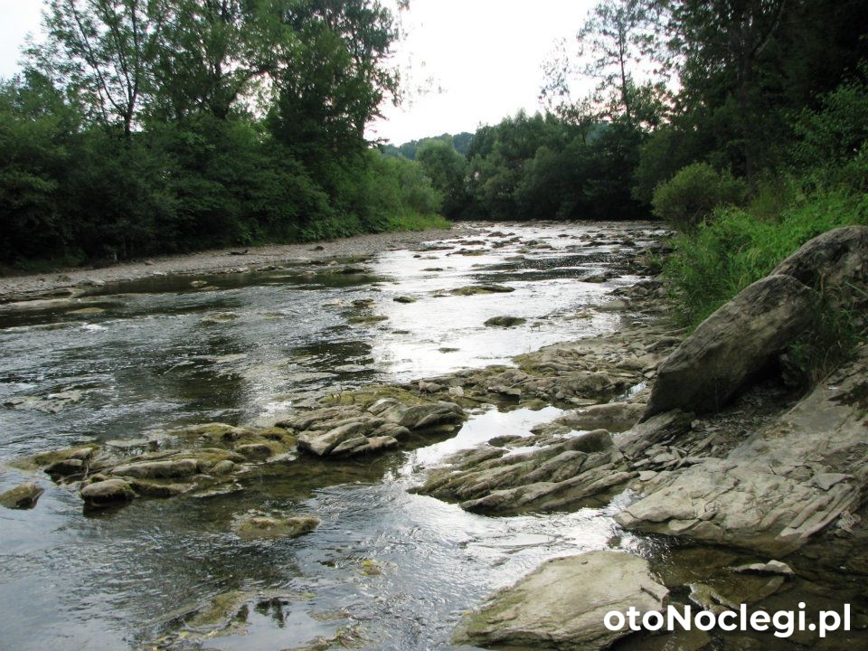 Domki Letniskowe Spokojne Miejsce Lesko (9)