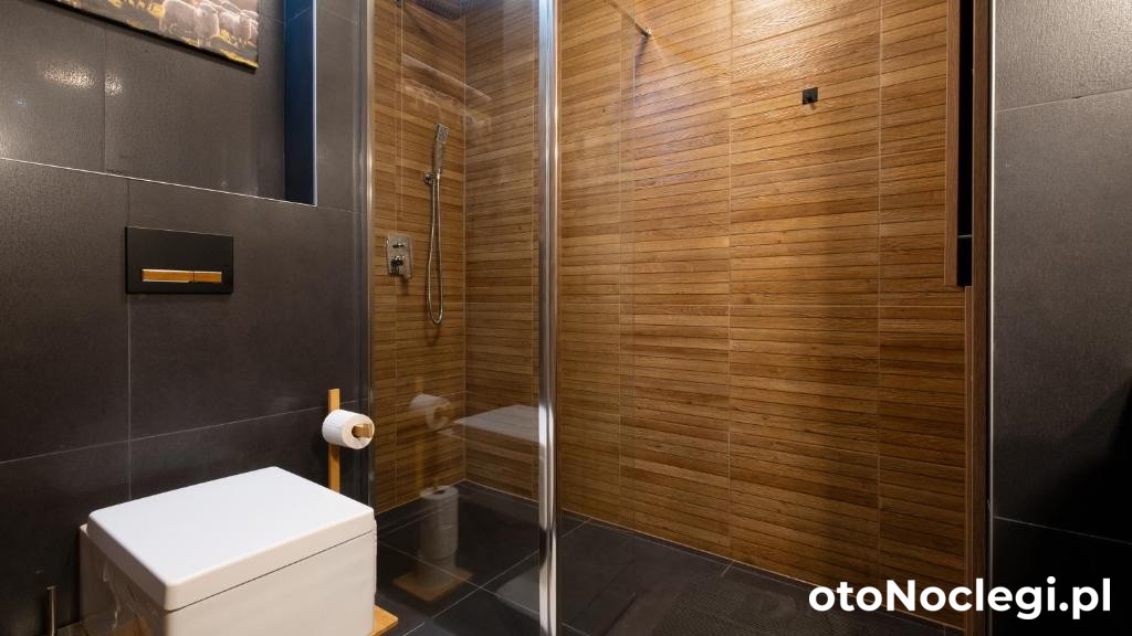 Apartamenty Trzy Kopce Ustroń Ustroń (39)