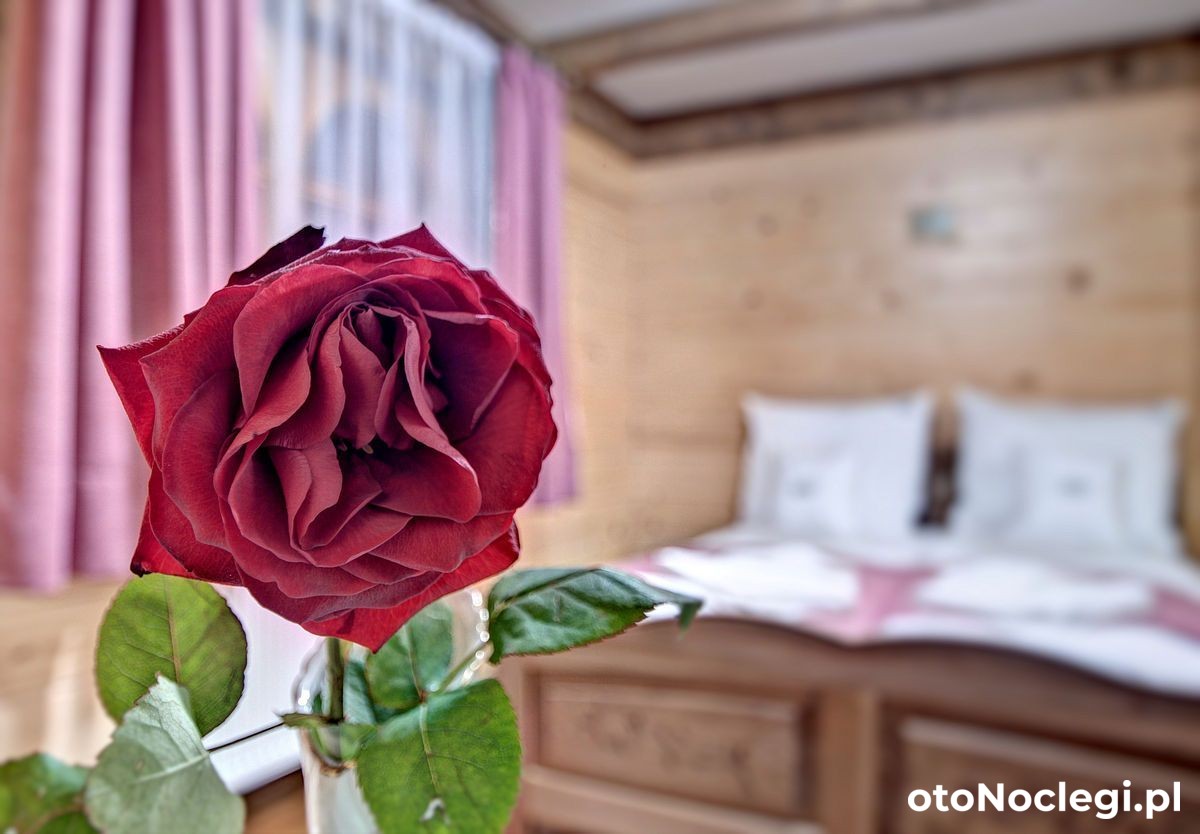 Willa Topór Witów (27)