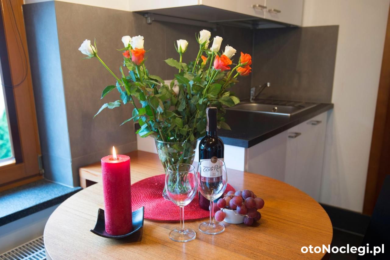 Maria2 Apartamenty Szczyrk (41)