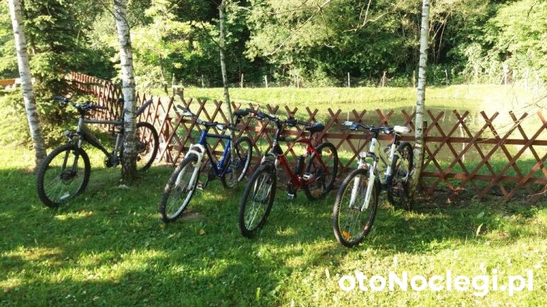 Noclegi W Bieszczadach Willa Kamieniec Hoczew (30)