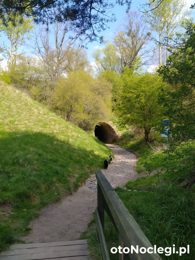 Wczasy Sandi Władysławowo (43)