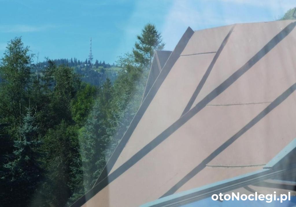 Pokoje i Apartamenty pod Jesionami u Bartka Zakopane (15)