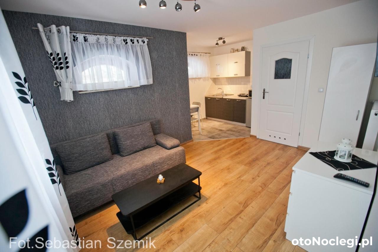 Apartamenty Domki Beskidy Żywiec (13) Apartamenty Domki Beskidy Żywiec (13)