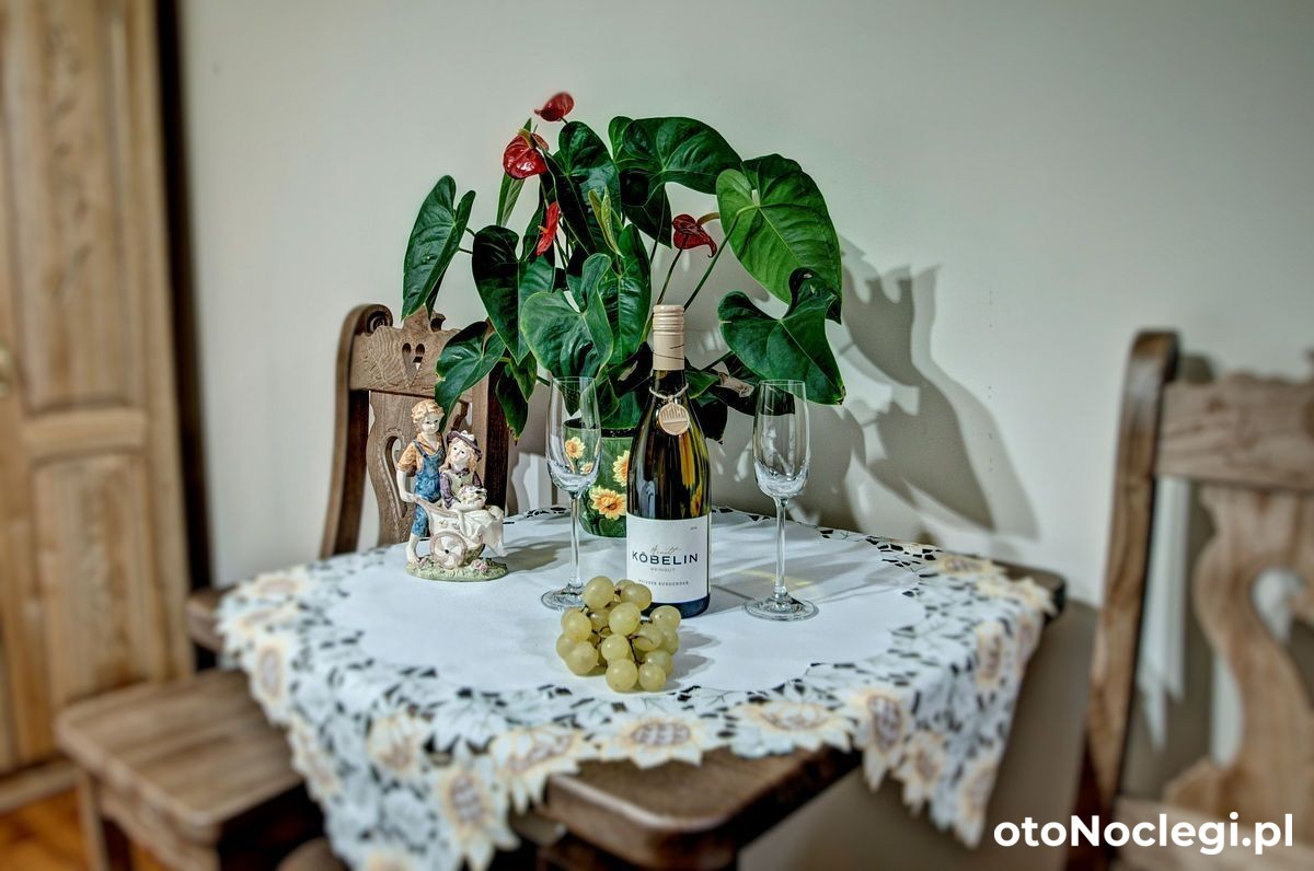 Willa Topór Witów (34)