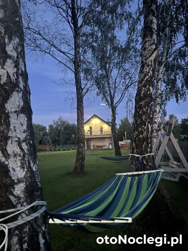 Na Skraju Lasu (1)