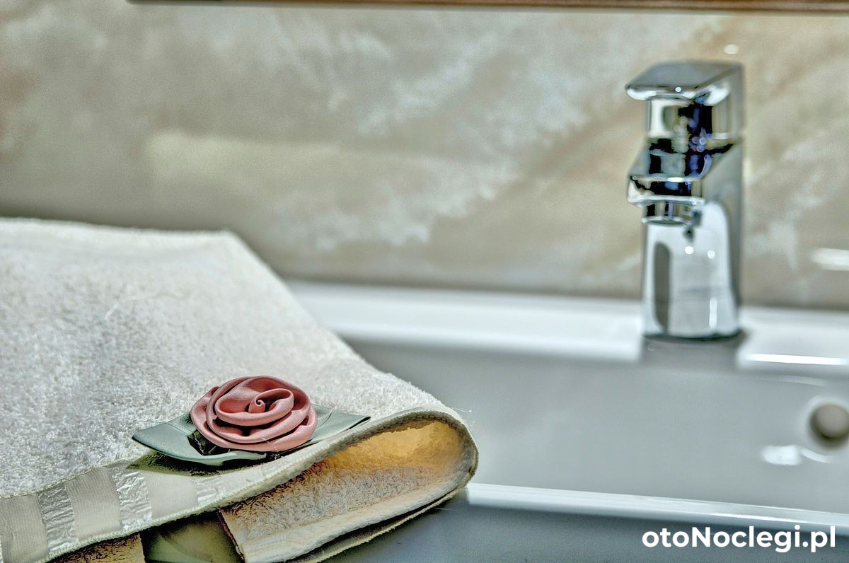 Willa Topór Witów (68)