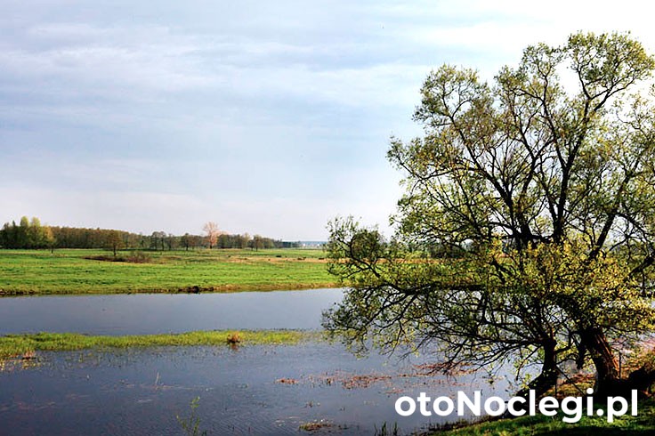 Agroturystyka Malowane Wrota Łazy Małe (49)