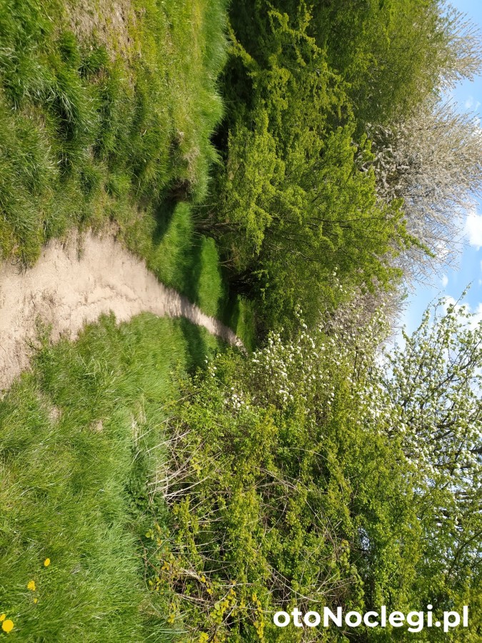 Wczasy Sandi Władysławowo (45)