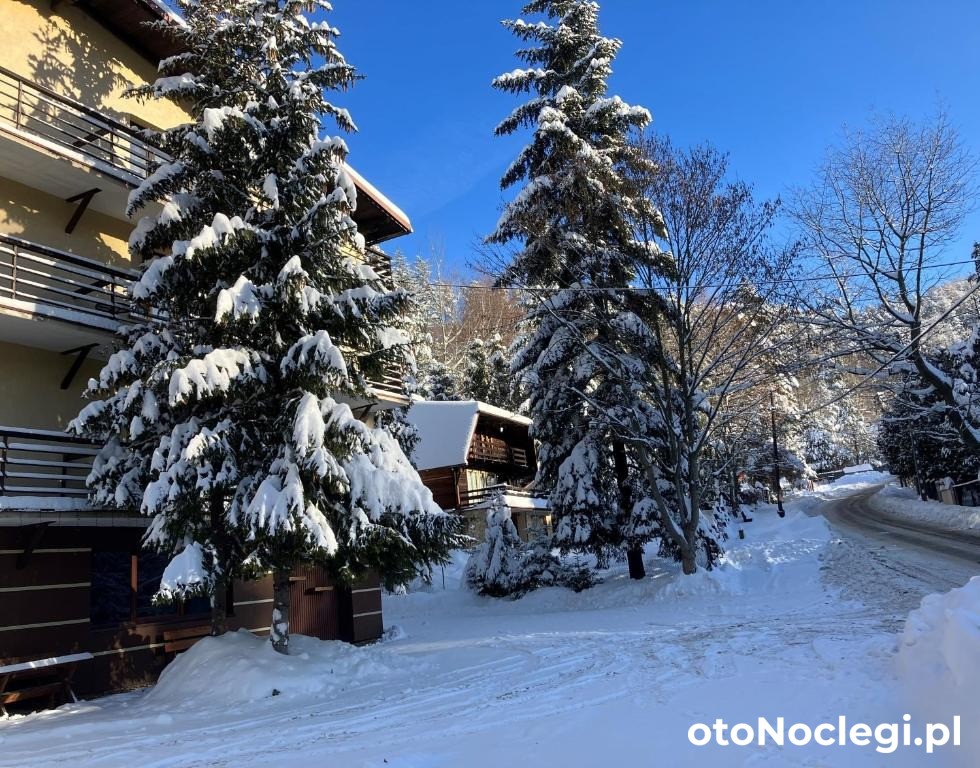 Niezapominajka Szczyrk (13)