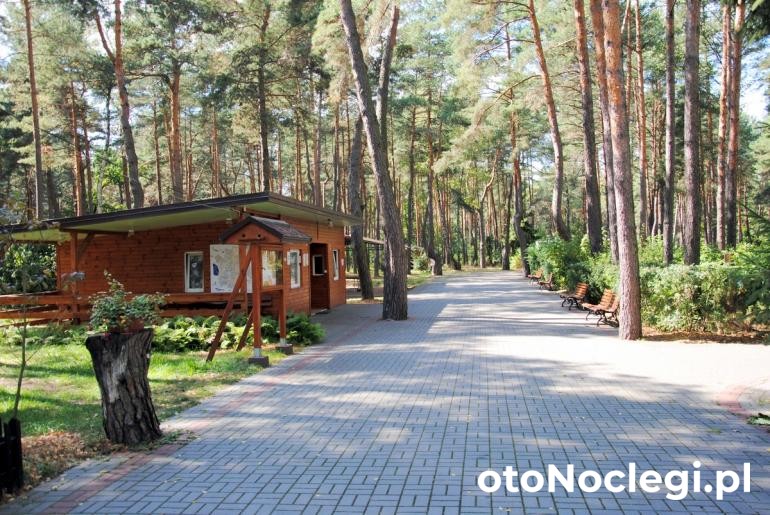 Ośrodek Wypoczynkowy Politechniki Warszawskiej Wilga (1)