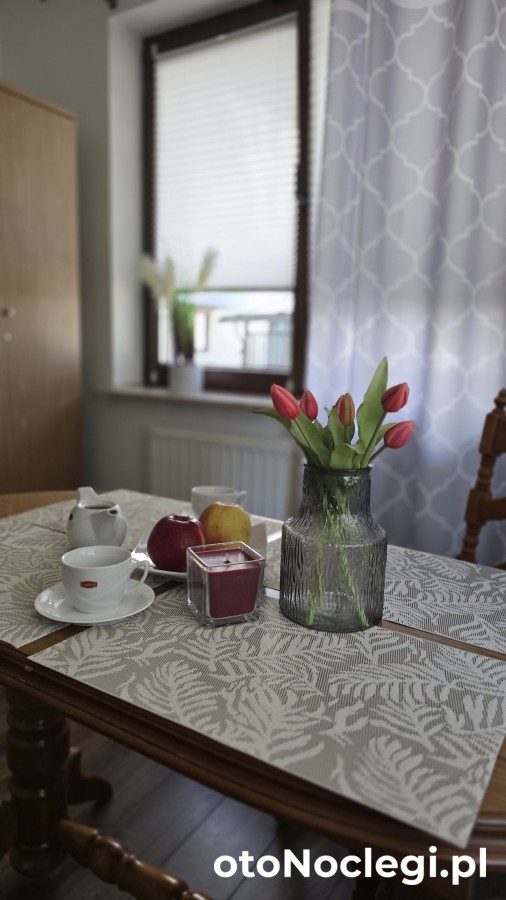 Park & Arena Apartament Kraków