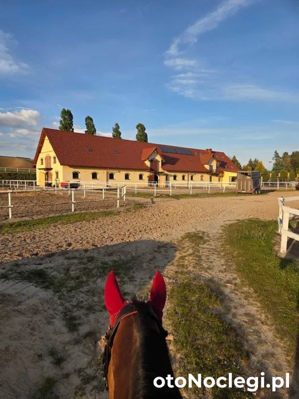 Domek przy Stajni