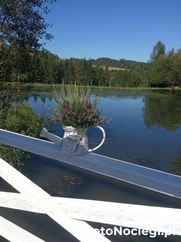 Z sercem w Bieszczady (1)