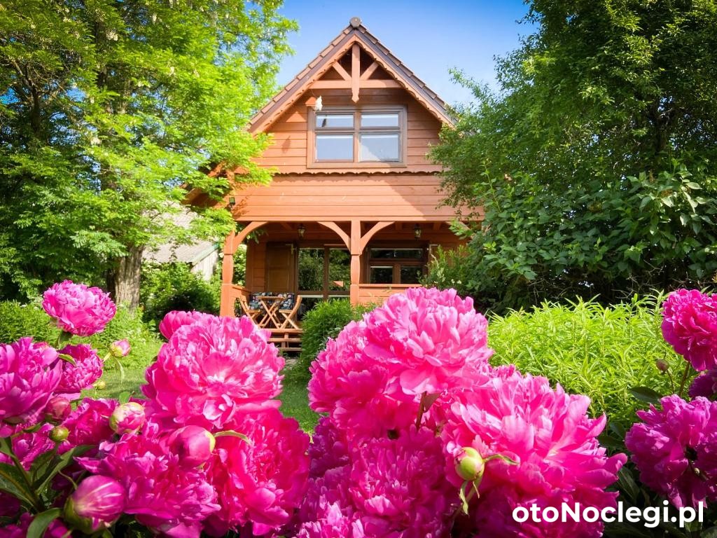 Zaciszna okolica  (1)