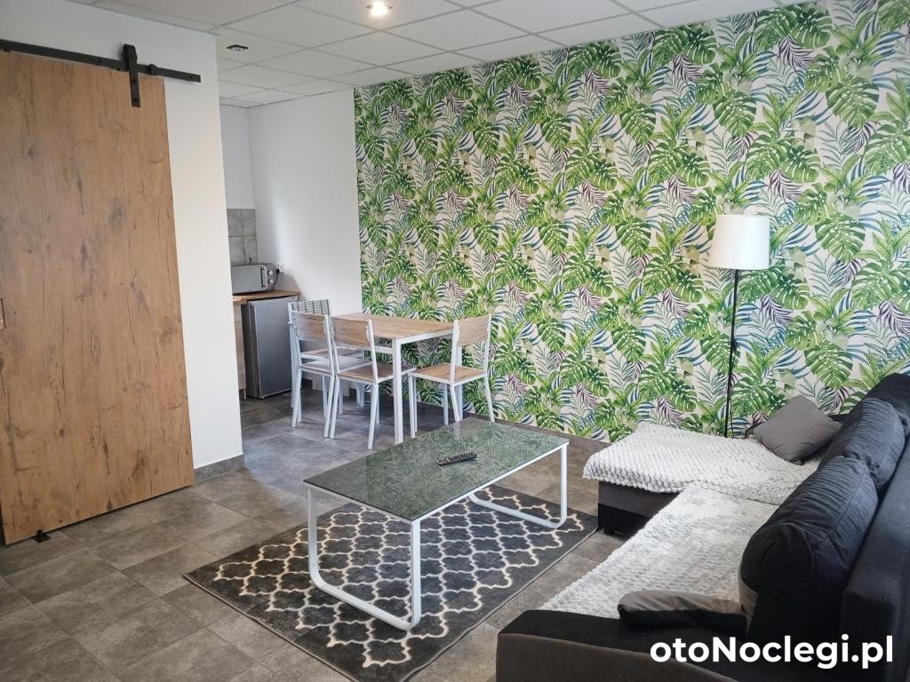 Domki - Apartamenty Complex - Zator  (1)