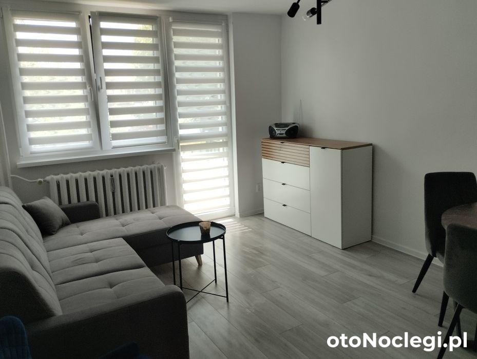 Apartament do wynajęcia (1)