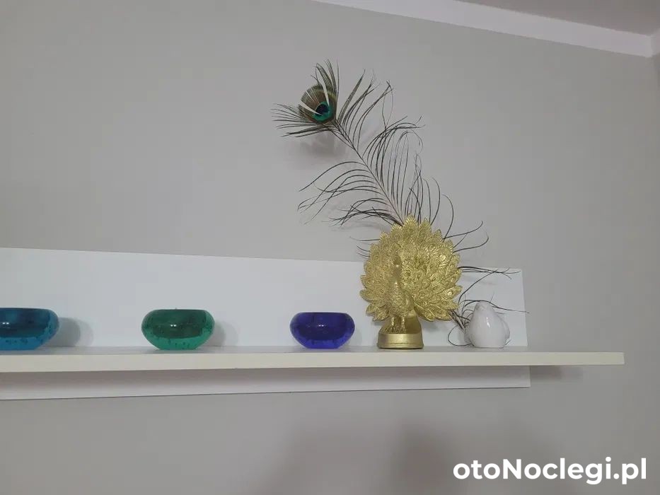 PAW apartament Koszalin (1)