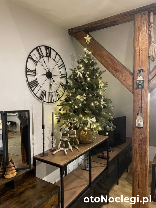 Apartament Loft 103 (1)