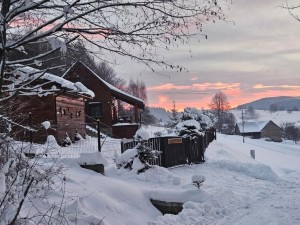Górska Chata w Lasie