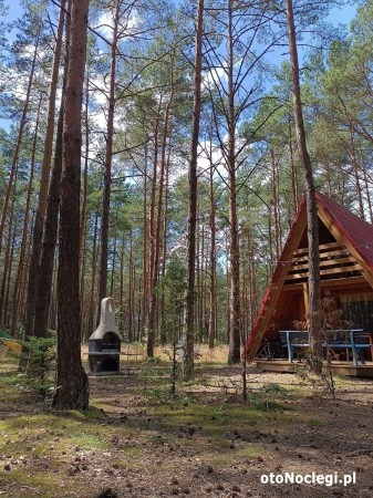 Domki letniskowe Pod Sosenką