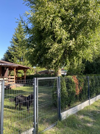 Letnisko na Pierkunowie