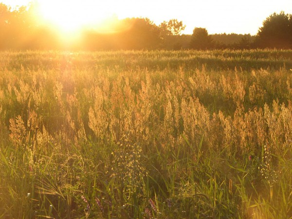 Gospodarstwo agroturystyczne "Zagroda nad Bugiem" (3)