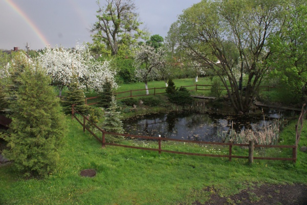 Kontakt z naturą (5)