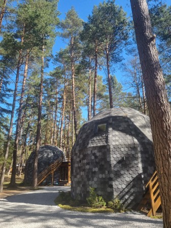 Kontakt z naturą (4)