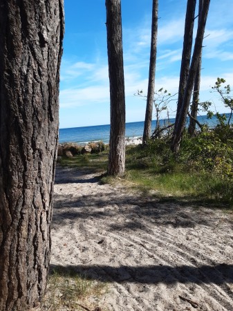 Domki u Piotrusia Pana Rusinowo (2)