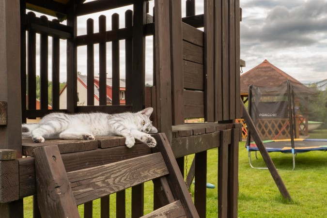 Zielona Przystań (3)