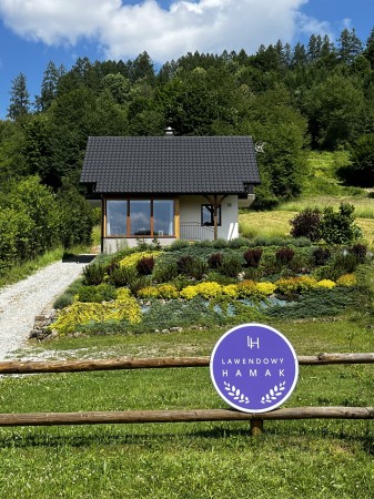 Lawendowy Hamak